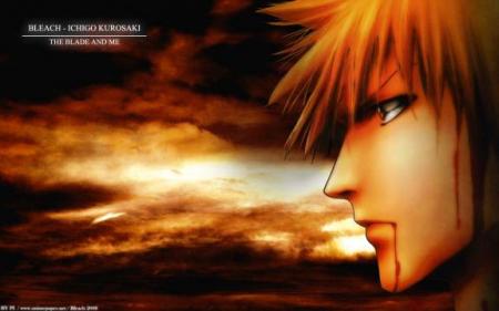 bleach